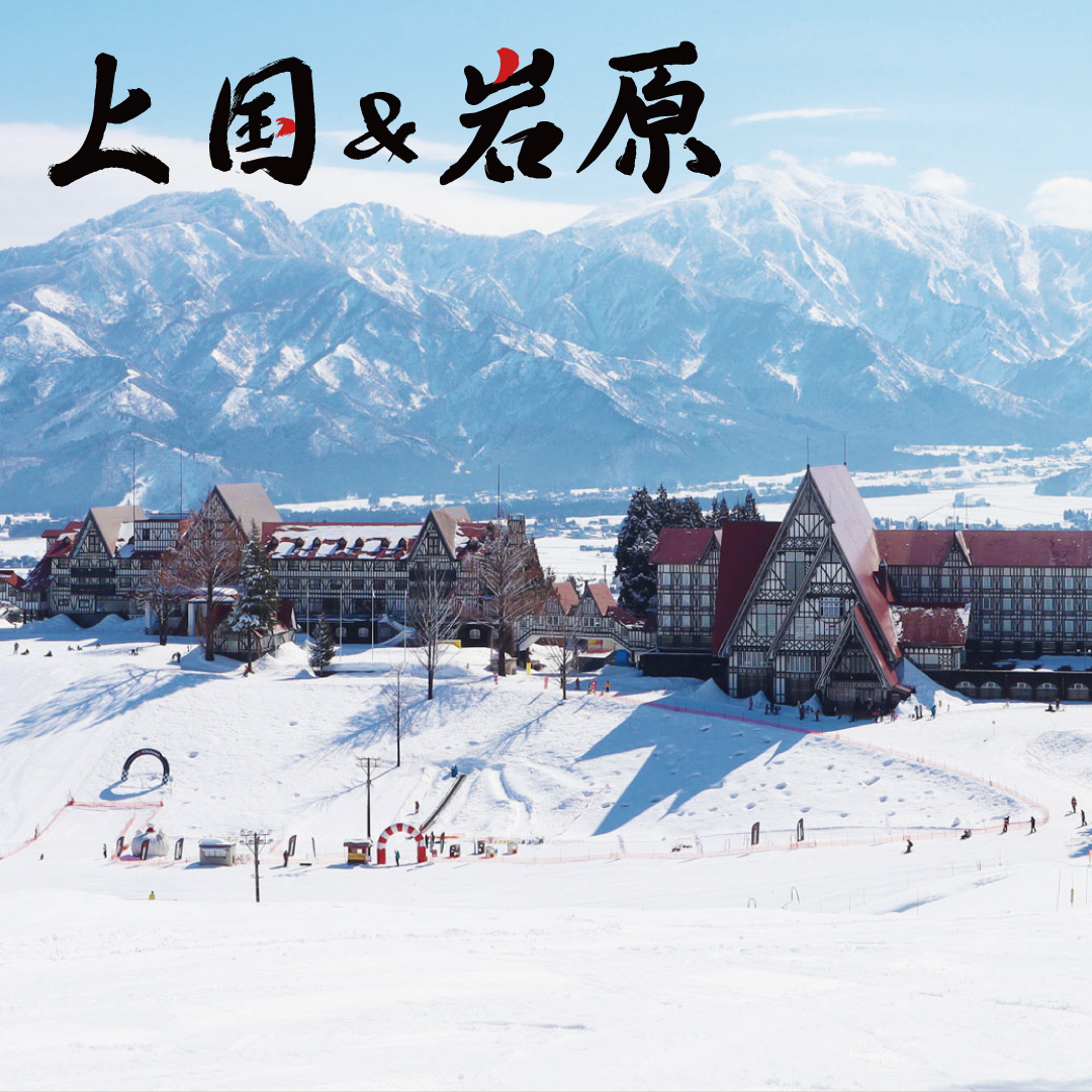 Joetsu_Kokusai