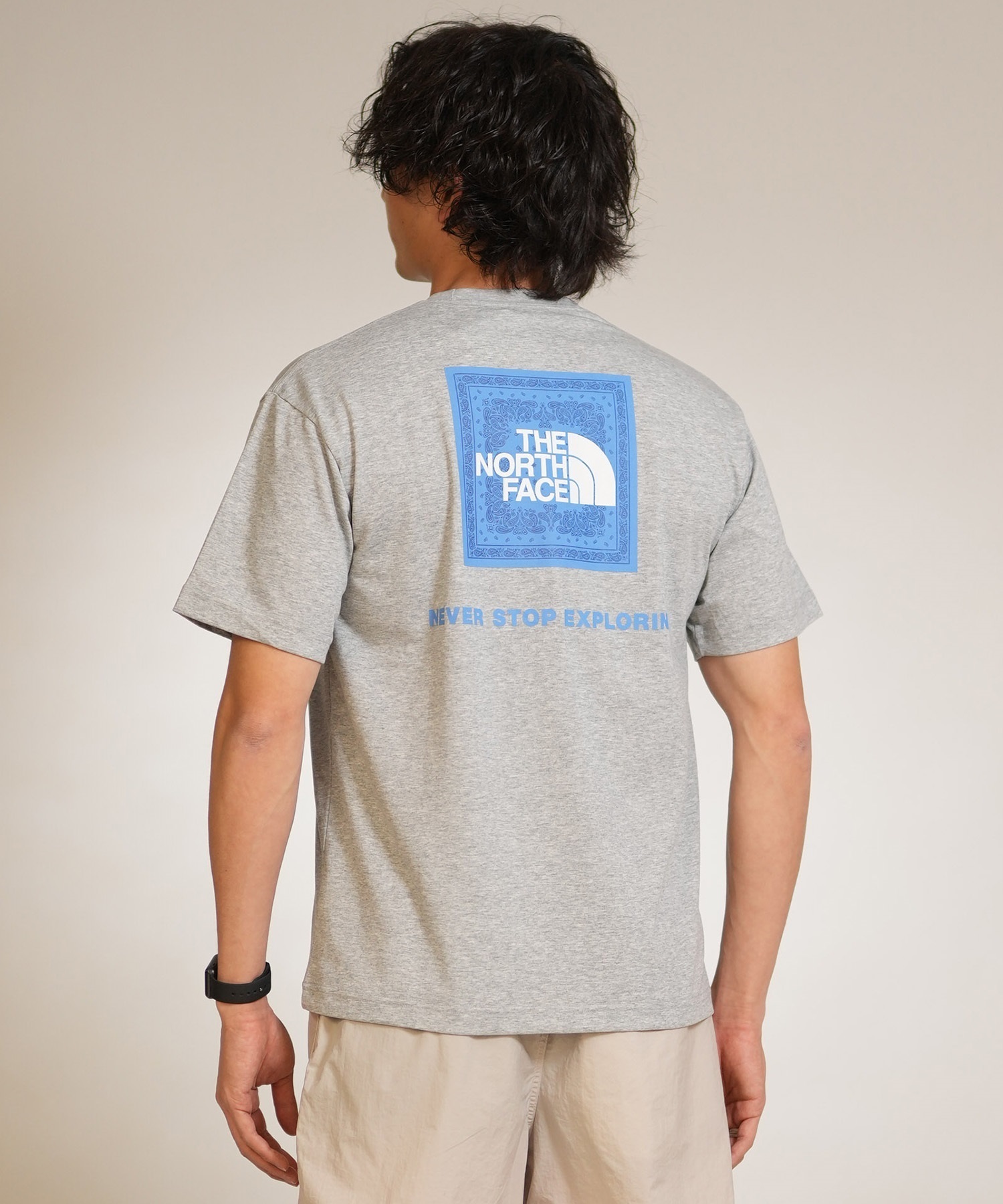 THE NORTH FACE ザ・ノース・フェイス 半袖 Tシャツ メンズ ショートスリーブバンダナスクエアロゴティー NT32446(W2-S)