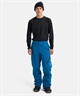 BURTON バートン エーケー Men's [ak] Cyclic GORE-TEX 2L Pants スノーボード ウェア パンツ メンズ 25-26モデル 【2526】(TRUEBLACK-XXS)