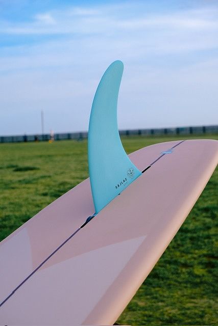 tsunami13 - SHOP NEWS | ムラサキスポーツオンラインストア 通販
